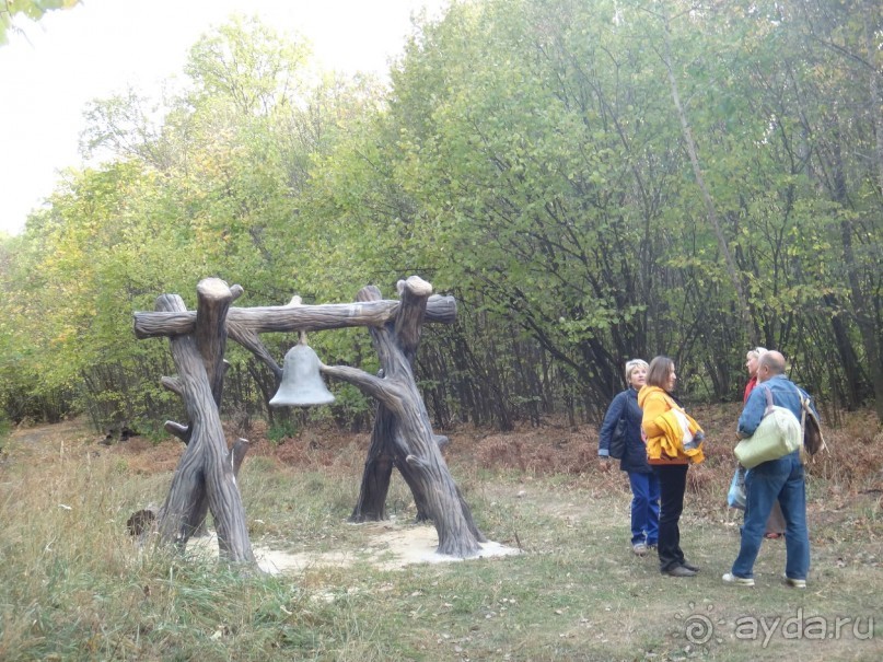 Графский заповедник - лес, бобры, монастырь