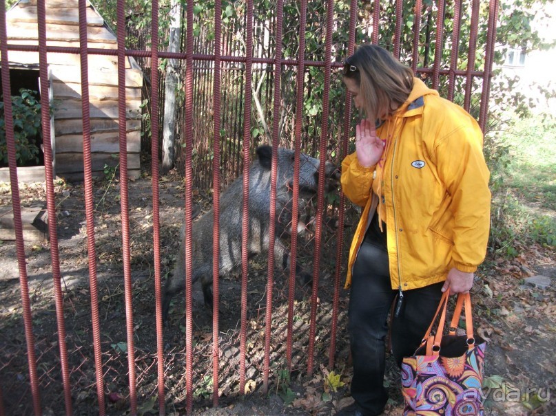 Графский заповедник - лес, бобры, монастырь