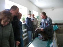 Графский заповедник - лес, бобры, монастырь