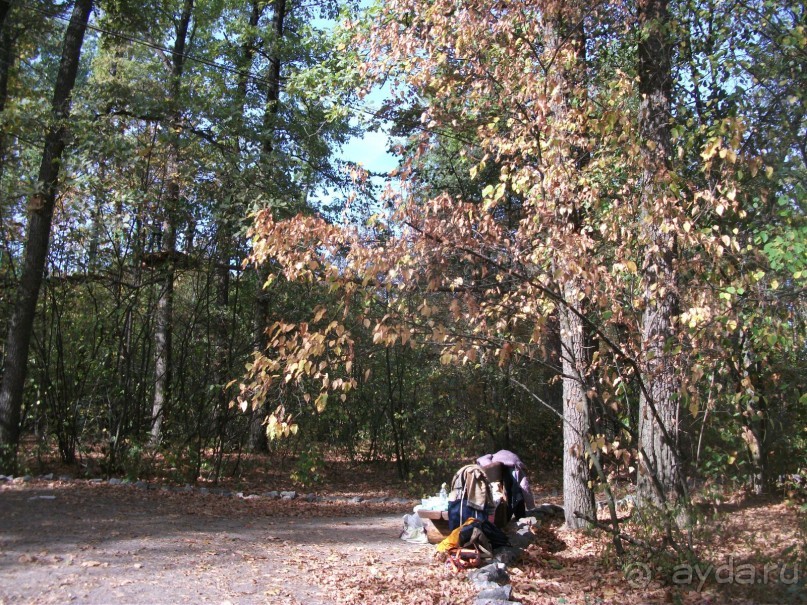 Графский заповедник - лес, бобры, монастырь