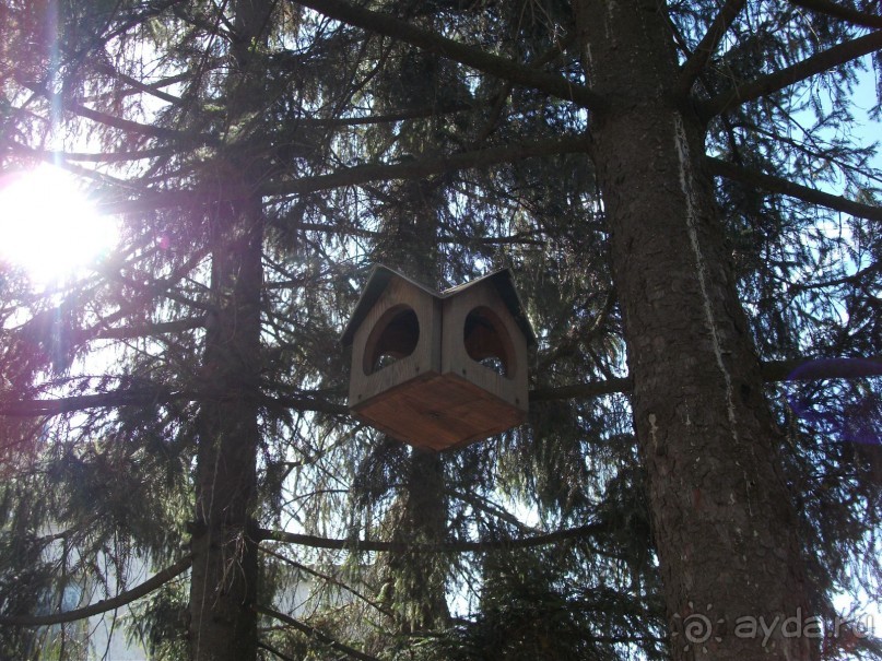 Графский заповедник - лес, бобры, монастырь