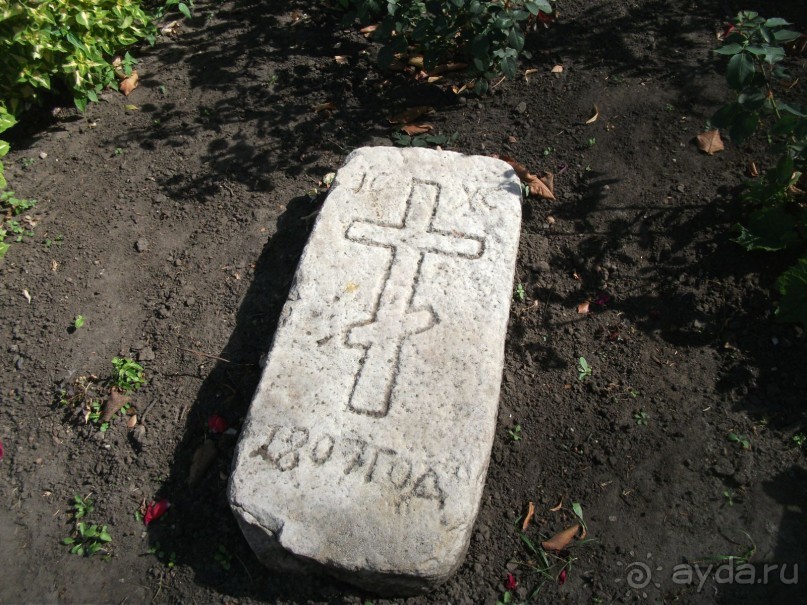 Графский заповедник - лес, бобры, монастырь