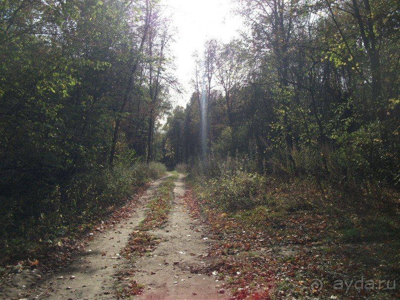 Графский заповедник - лес, бобры, монастырь