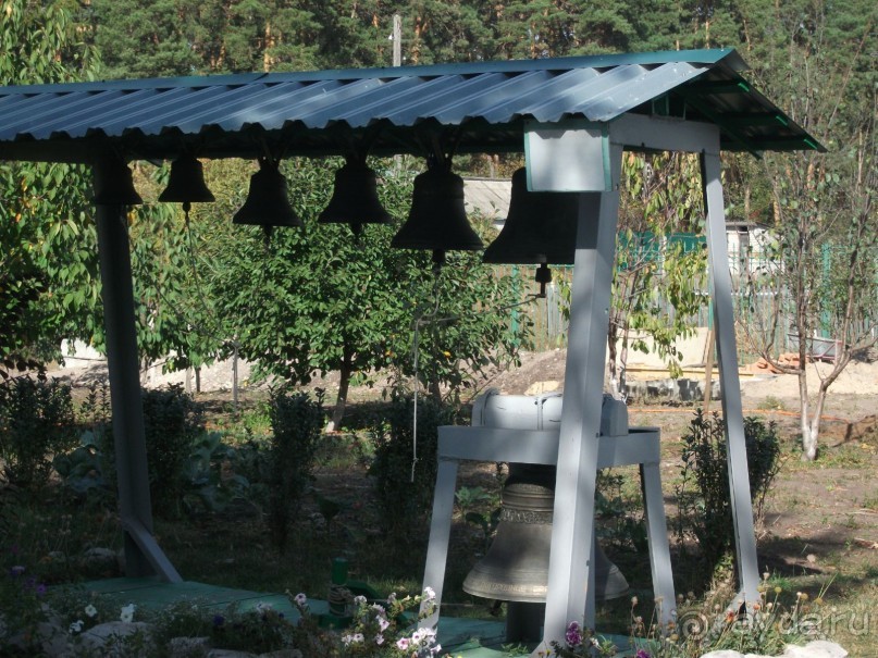 Графский заповедник - лес, бобры, монастырь