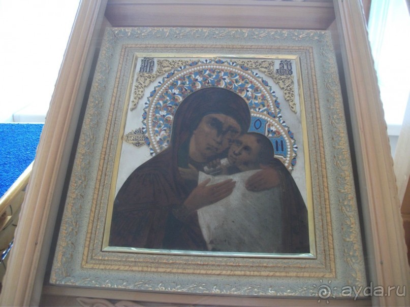 Графский заповедник - лес, бобры, монастырь