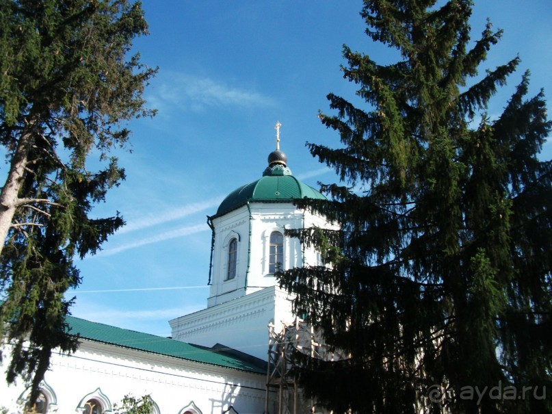 Графский заповедник - лес, бобры, монастырь