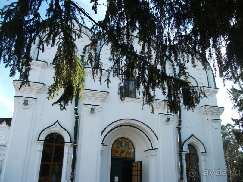 Графский заповедник - лес, бобры, монастырь