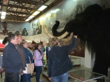 Костенки - древняя стоянка человека