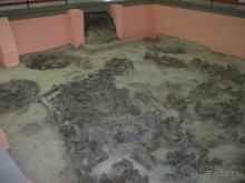 Костенки - древняя стоянка человека