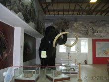 Костенки - древняя стоянка человека