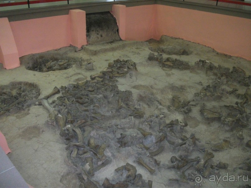 Костенки - древняя стоянка человека