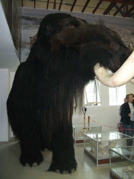 Костенки - древняя стоянка человека