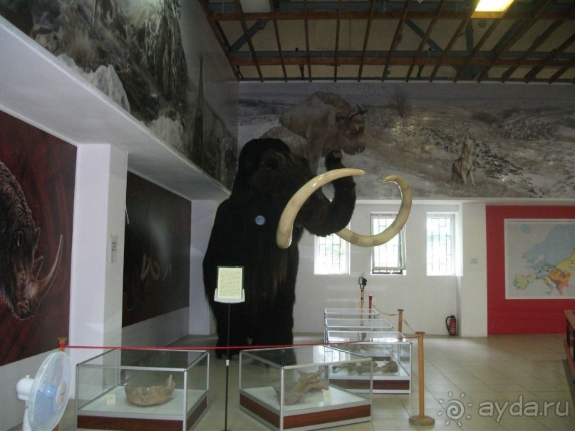 Костенки - древняя стоянка человека