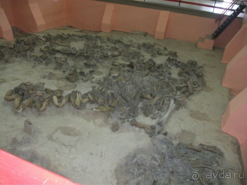 Костенки - древняя стоянка человека