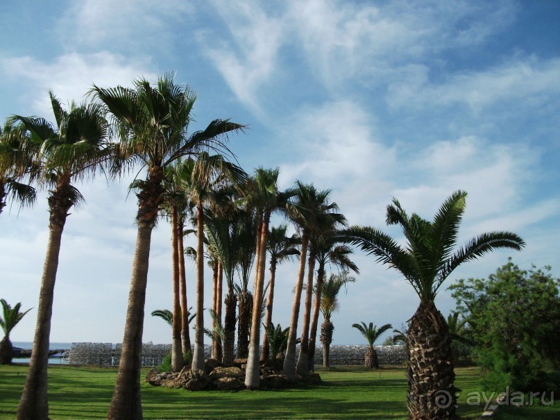 Высший класс