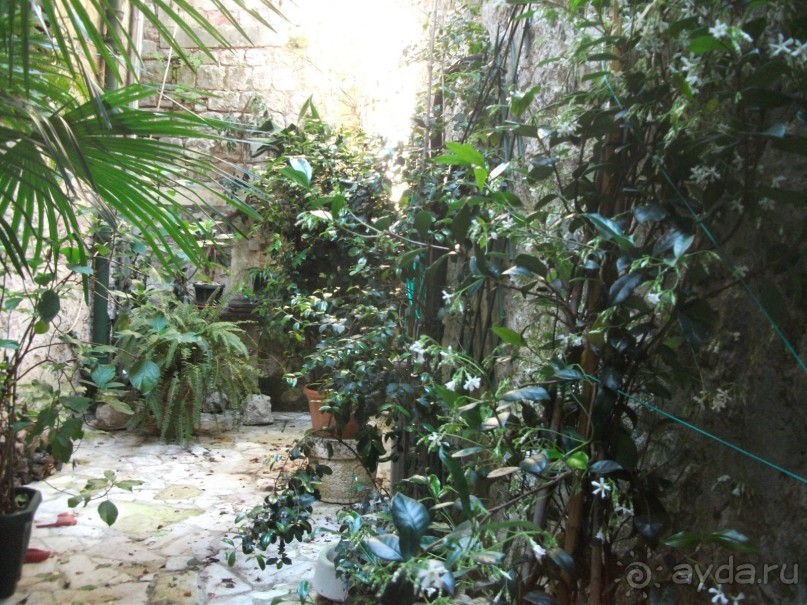 По Боке Которской