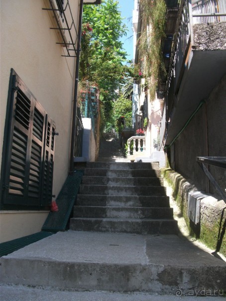 По Боке Которской