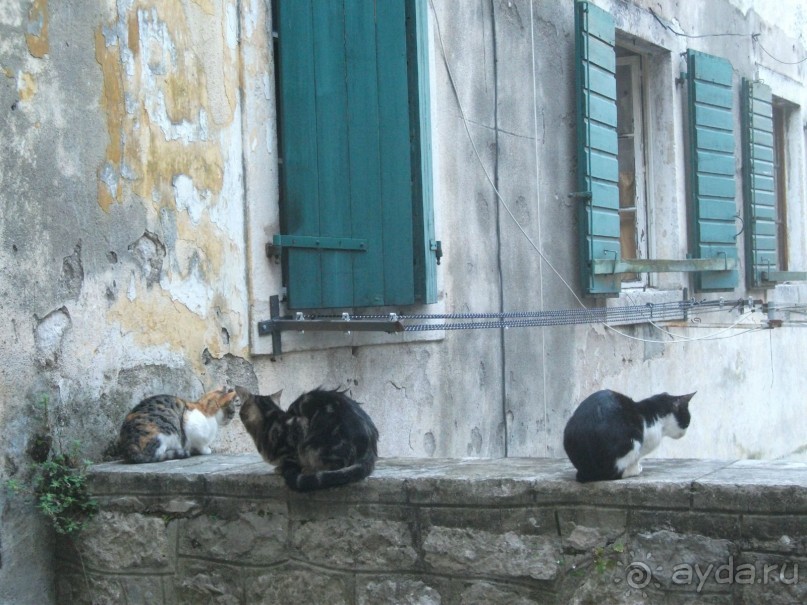 По Боке Которской