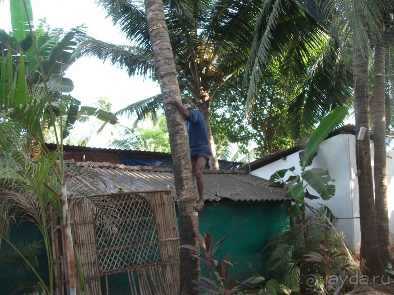 Альбом отзыва "Расслабуха"