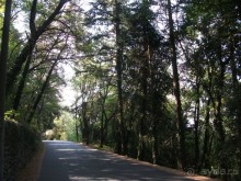 Ривьера для "российских пенсионеров"