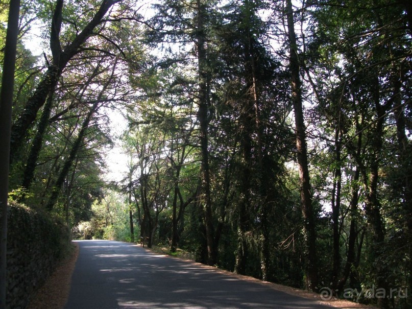 Ривьера для "российских пенсионеров"