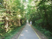 Альбом отзыва "По ходу оздоравились"