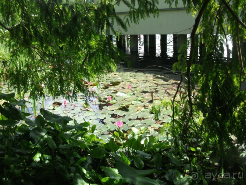 По ходу оздоравились