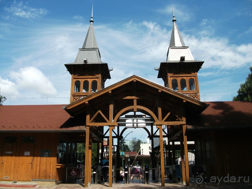 По ходу оздоравились