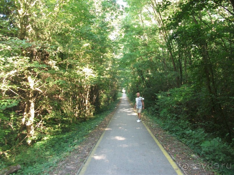 По ходу оздоравились