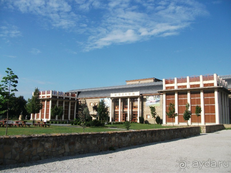 По ходу оздоравились