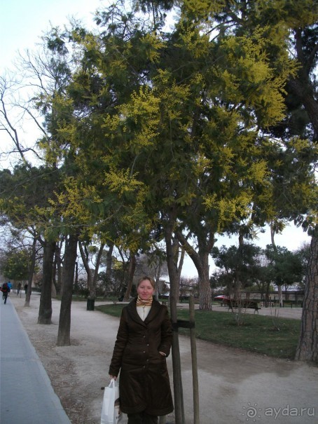 Италия, Испания - подарки к 8 Марта