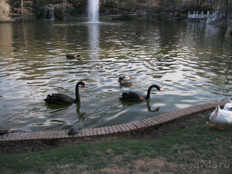 Италия, Испания - подарки к 8 Марта