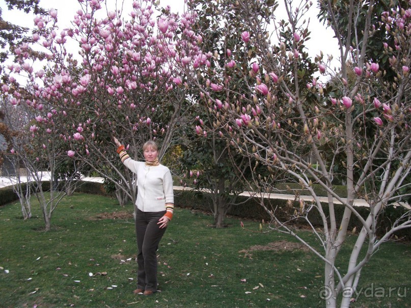 Италия, Испания - подарки к 8 Марта