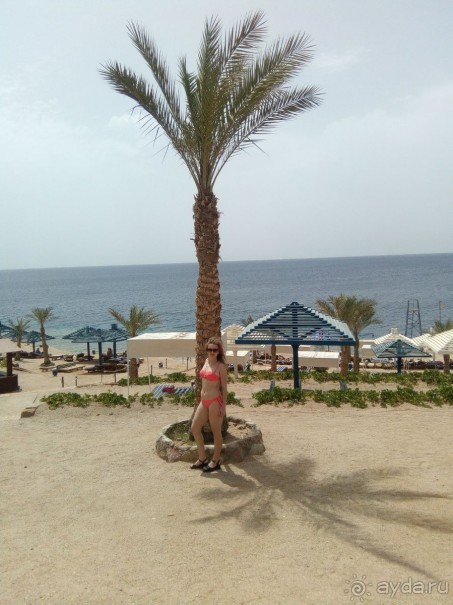 Отдых в  отеле Grand Oasis Resort 