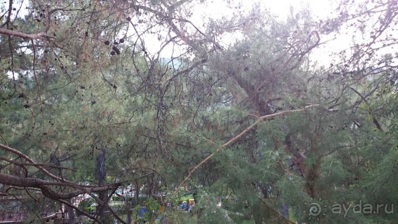 Мармарис, Class Beach, плюсы и минусы