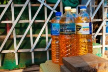 ГОА. Придорожные закусочные для авто