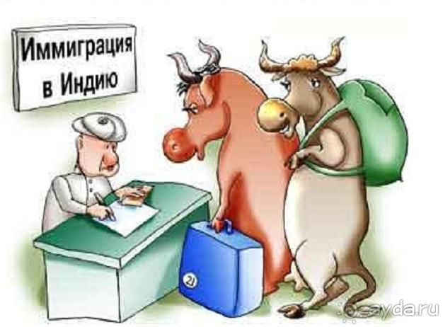 ГОА. Придорожные закусочные для авто