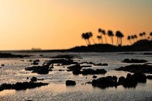 ГОА. Мое пляжное домогательство к развлечениям