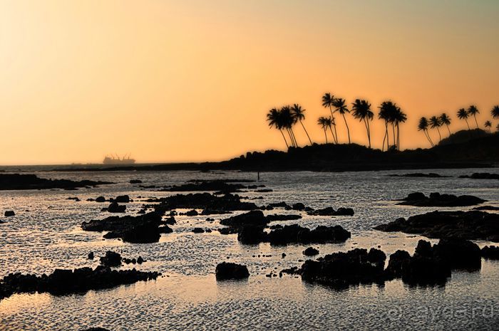 ГОА. Мое пляжное домогательство к развлечениям