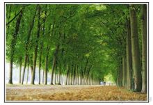 Испания. О Поблете и его кормильце турникете