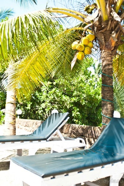 ГОА. Прогулка по буфетам