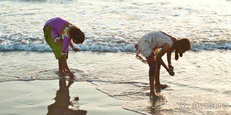 ГОА. Прогулка по буфетам