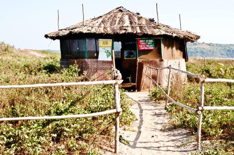 ГОА. Прогулка по буфетам