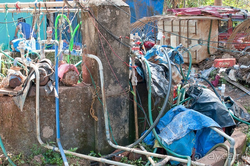 ГОА. Прогулка по буфетам