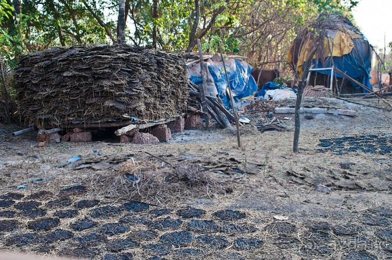 ГОА. Косяки крыш над головой