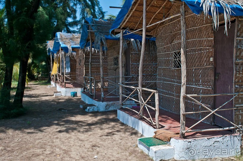 ГОА. Косяки крыш над головой