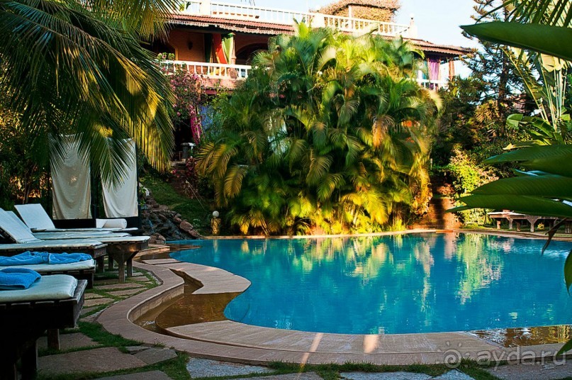 ГОА. Косяки крыш над головой