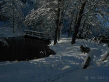 Альбом отзыва "Швеция - волшебная страна..."