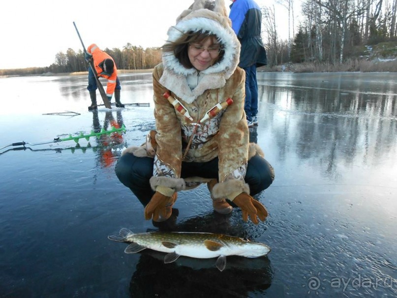 Альбом отзыва "Швеция - волшебная страна..."