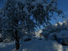 Альбом отзыва "Швеция - волшебная страна..."